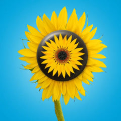 Invisalign sunflower design aligner case video