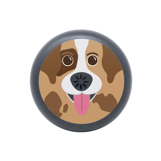 Étui pour aligneurs Invisalign™ pour chien