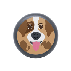 Étui pour aligneurs Invisalign™ pour chien
