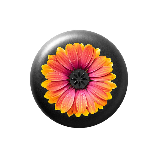 Étui pour aligneurs Invisalign™ Marguerite texturée orange 