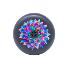 Étui pour aligneurs Invisalign™ Succulent 