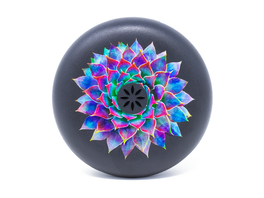 Invisalign™ Aligner Case Succulent